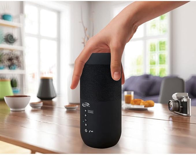 iLive ISBW240BDL ISBW240BDL Bluetooth Indoor and Outdoor Waterproof Speakers with Removable Stakes, 2 Count, Black