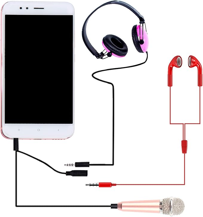 LOCOLO 4Pcs Mini Microphone Mini Karaoke Microphone for Voice Recording Portable Microphone Chatting and Singing Compatible with Smartphone iPhone iPad Laptop