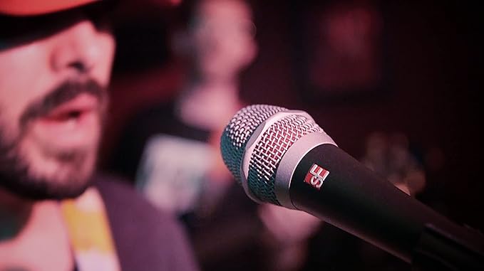 SE ELECTRONICS V7 Dynamic Microphone for Singing, Speech & Studio Recording - XLR Handheld Professional Microphone with Supercardioid Aluminum Voice Coil for Huge Gain Before Feedback - Vintage