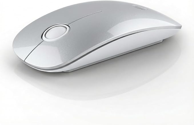 RAPIQUE R306 Wireless Mouse, Bluetooth 5.1 & 2.4GHz Dual Mode Silent Mouse, Silver Gloss Top with White Matte Base, Slim Portable Mouse for Laptop, MacBook,Tablet, Chromebook (Silvery)
