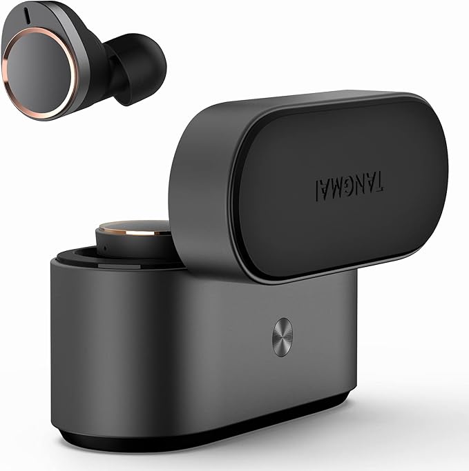 W5 Wireless Earbuds Qcalcomm Bluetooth 5.0 Headphones, 4 Mics with CVC 8.0 for Clear Call, 56H Playtime, aptX with Balanced Armature for Incredible Sound, USB-C, Best TWS for Home Offcie