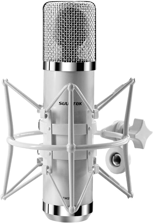 FET Condenser Microphone Professional XLR Studio Microphone with 34mm Large Diaphragm, Cardioid Recording Mic Computer Gaming PC TM251S Mic Kit for Singing, Podcasting, YouTube (Gray)