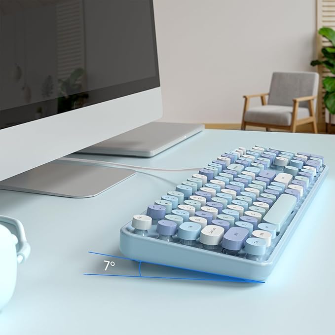 Wired Keyboard, Full-Sized Typewriter Keyboards, USB Plug and Play Office Keyboard with Number Pad, Caps Indicators, Foldable Stands for Windows, PC, Laptop, Desktop (Blue Colorful)