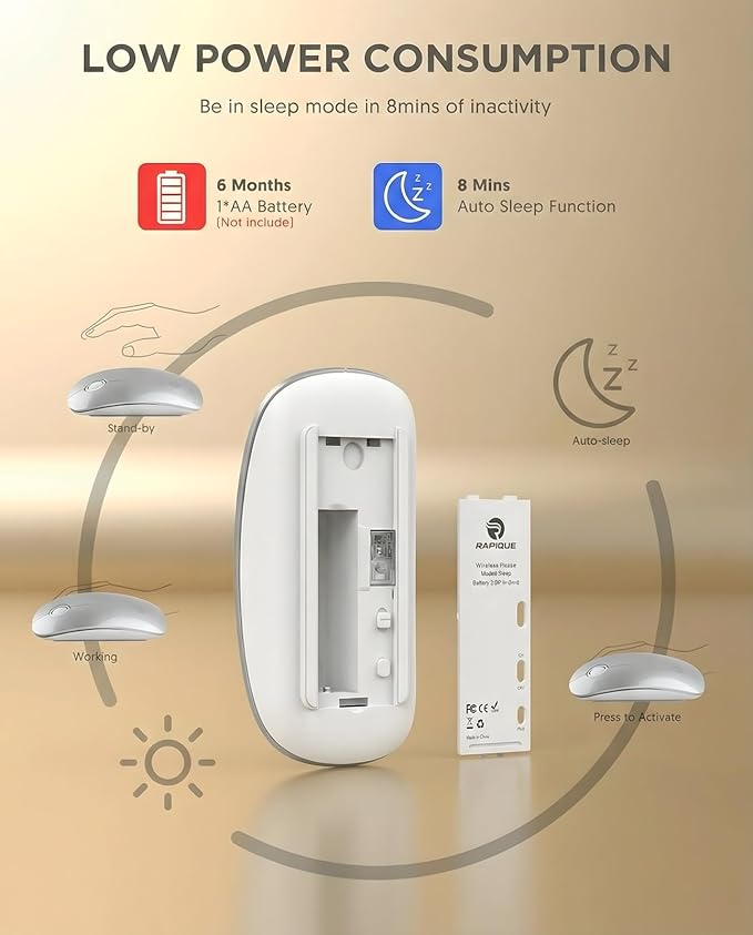 RAPIQUE R306 Wireless Mouse, Bluetooth 5.1 & 2.4GHz Dual Mode Silent Mouse, Silver Gloss Top with White Matte Base, Slim Portable Mouse for Laptop, MacBook,Tablet, Chromebook (Silvery)