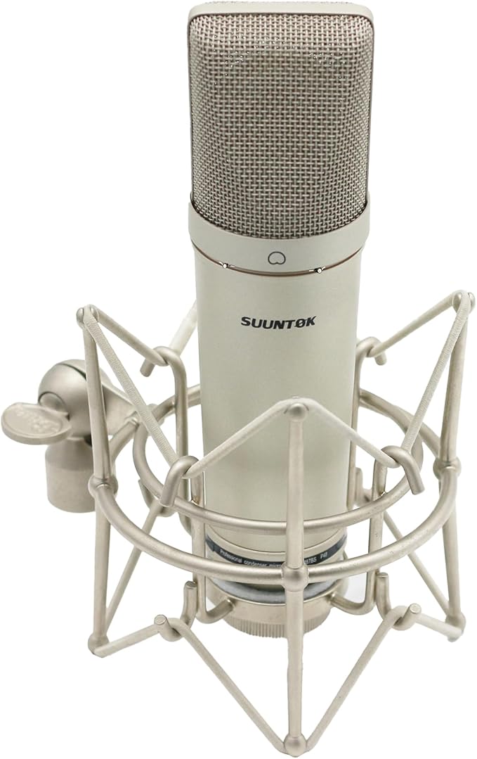 XLR Microphone, Professional Condenser Microphone with 34mm Large Diaphragm, Cardioid Studio Recording Mic Computer Gaming PC TM87KB Mic Kit for Singing, Podcasting, YouTube (Silver)