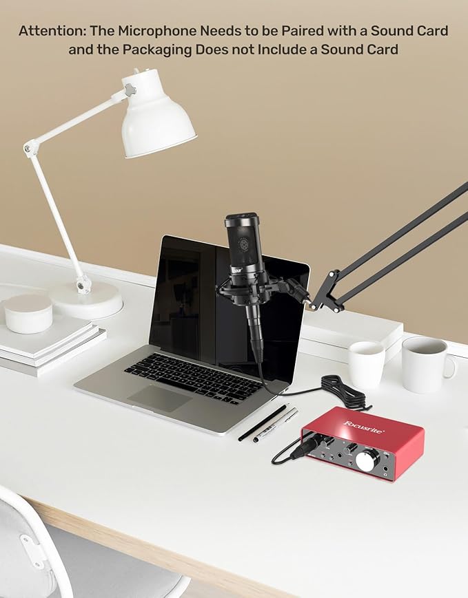 Cardioid Condenser Microphone Set [Inclusion Dedicated Shock Mount & XLR Cable], Computer Podcast Mic for Singing Ideal Project/Home Studio Streaming for Gaming YouTube Recording Vocals