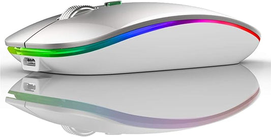 TENMOS Wireless Bluetooth Mouse, LED Slim (Bluetooth 5.1 + USB) 2.4GHz Rechargeable Silent Bluetooth Wireless Mouse with Type C Adapter for Laptop/MacBook/iPad OS 13 and Above (Silver)