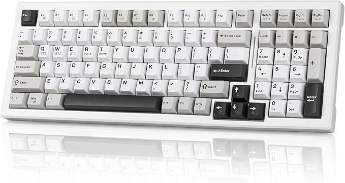 Wireless Game Mechanical Keyboard BT5.0/2.4GHz/USB, Multi-Color LED with 18+ Modes, Hot-Swappable Custom Keyboard, Red Creamy Switches, Gaming Keyboard for PC/Mac (Black White)