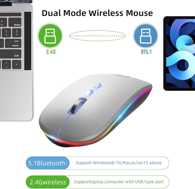 HOTLIFE LED Wireless Mouse, Slim Rechargeable Silent Bluetooth Mouse, Portable USB Optical 2.4G Wireless Bluetooth Two Mode Computer Mice with USB Receiver and Type C Adapter(Silver)