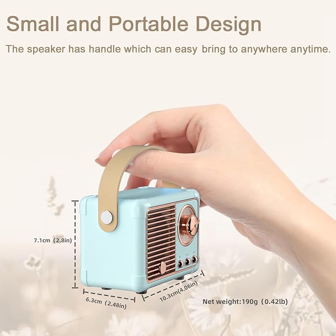 Retro Mini Speaker Vintage Decor Aesthetic Portable Wireless Speaker Built-in Mic Best Birthday Gifts Ideas Teenage,Boys,Men,Him Old Fashion Style for Home,Office,Bookshelf,Kitchen,Bedroom(Blue)
