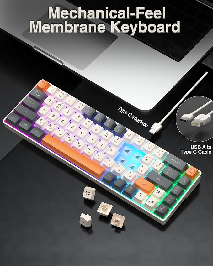 60 Percent Keyboard,RGB Backlit Gaming Keyboard USB-C Wired,Portable 68 Keys Compact Mini Keyboards for Business Trips,Office,PC Games (SK968,Grey&Orange)