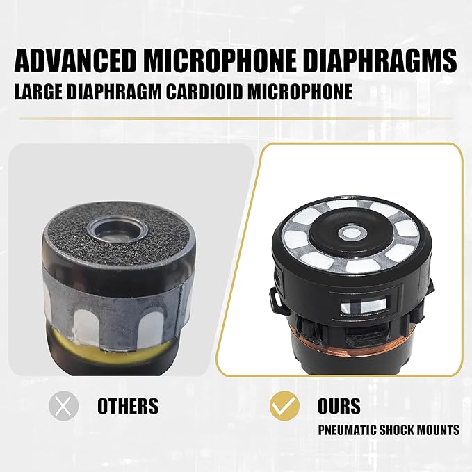 Dynamic Microphone - Professional Vocal Microphone for Singing - Handheld Wired Microphone with 16ft XLR to 1/4" Audio Cable - Mic for Speaking, Karaoke & Living Stage (Titanium Grey)