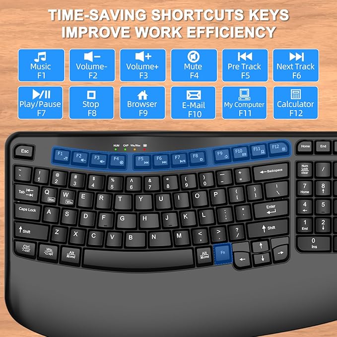 EDJO Ergonomic Wireless Keyboard with Wrist Rest, Wave Keys, Comfortable Natural Typing, 2.4GHz Ergo Wireless USB Computer Keyboard for Multi-OS, Windows, Mac OS, Laptop, PC (Black)