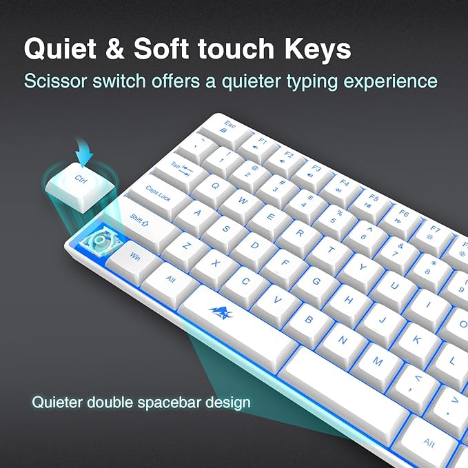 Wireless Backlit Keyboard Quiet - Computer Rechargeable Ergonomic Light UP Keyboard, Silent Keys Full Size Compatible for Windows, Desktop, Laptop, PC, Gaming, PS5 - White