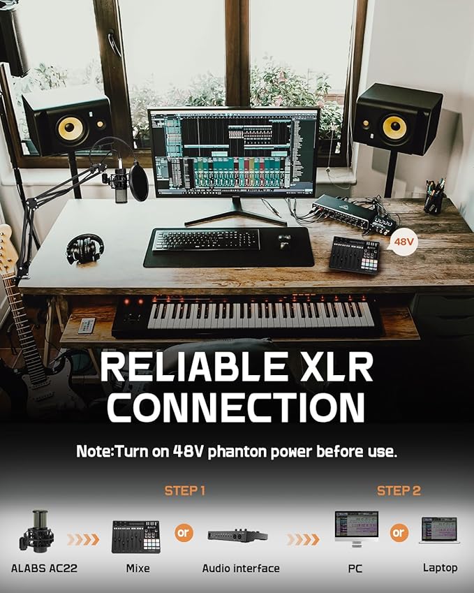 ALABS XLR Condenser Microphone, Professional Cardioid Recording Microphone Kit with 25mm Diaphragm for Streaming, Podcasting, Singing, Vocal, Studio Mic with Boom Arm, Pop Filter (AC22)