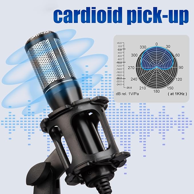 E300 Sound Studio Recording Microphone, Condenser Broadcast Microphone Karaoke Singing for Recording Live Desktop Stand