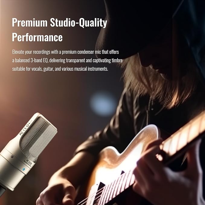 TAKSTAR XLR Condenser Microphone, PC-K200 II Recording Cardioid Mic with Ultra-Low Self-Noise, Balanced Sound, Power Indicator, Studio Singing Microphone for Live Streaming, Gaming, Broadcast