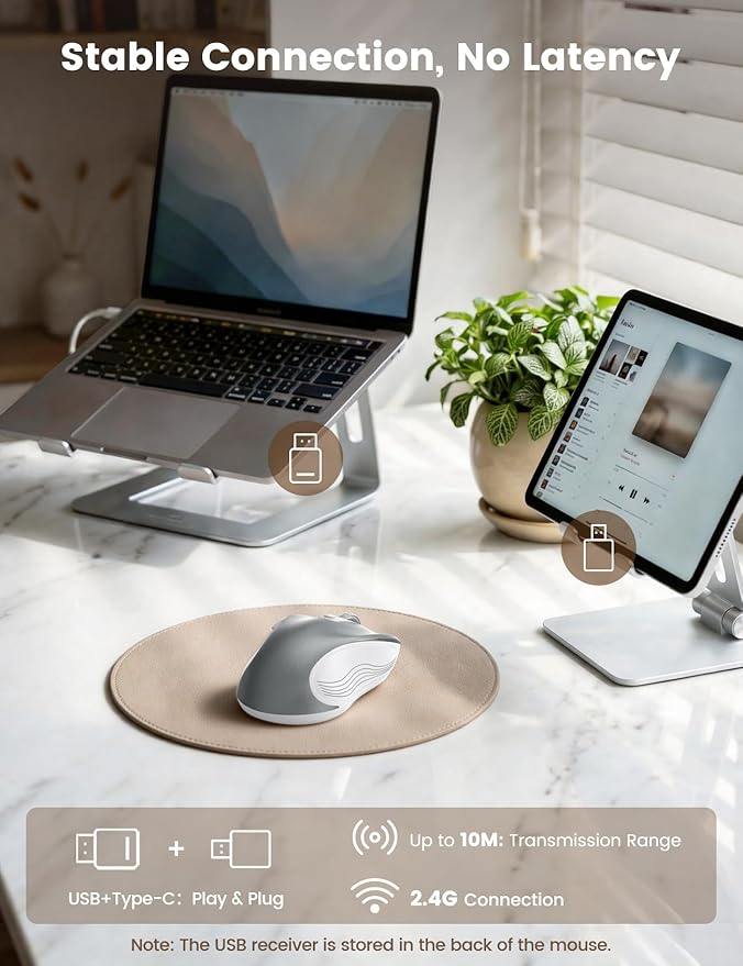 WisFox 2.4G Wireless Mouse for Laptop, Ergonomic Computer Mouse with USB Receiver and Type-C Adapter, 3 Adjustable Levels DPI, 6 Button Cordless Wireless Mice (Silver)