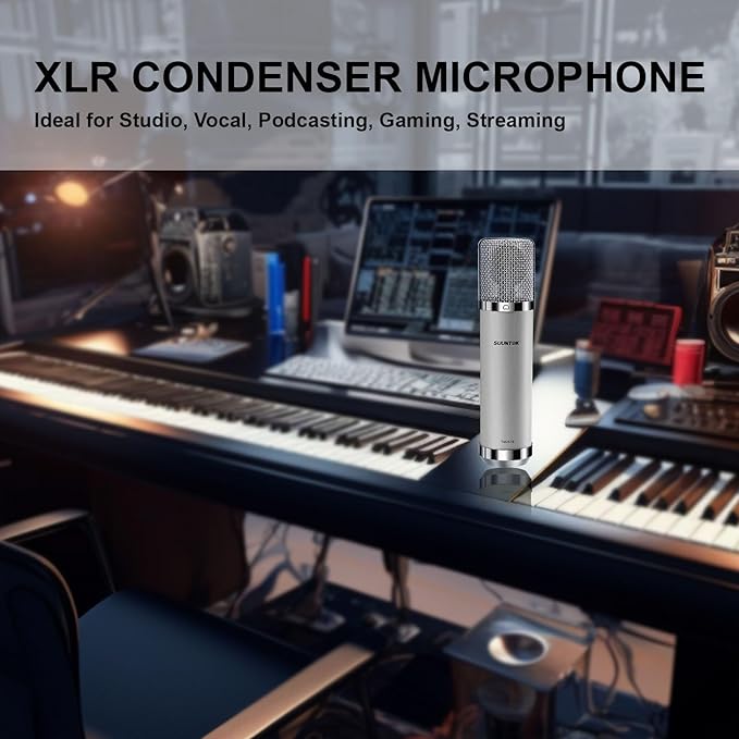 FET Condenser Microphone Professional XLR Studio Microphone with 34mm Large Diaphragm, Cardioid Recording Mic Computer Gaming PC TM251S Mic Kit for Singing, Podcasting, YouTube (Gray)