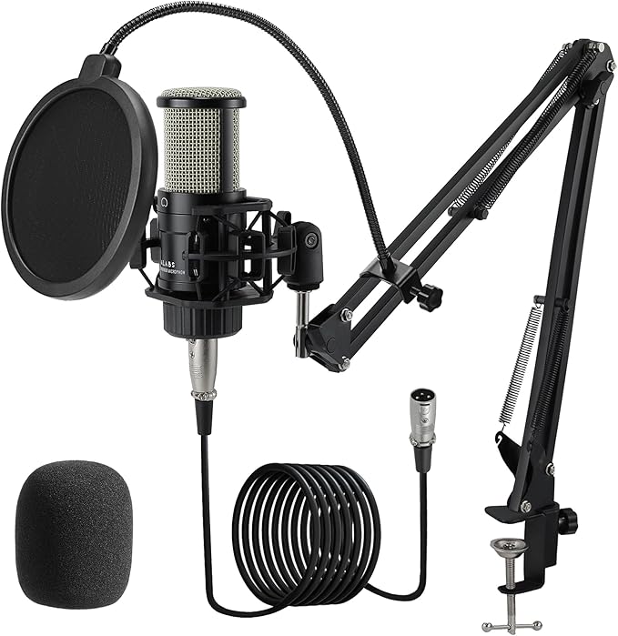 ALABS XLR Condenser Microphone, Professional Cardioid Recording Microphone Kit with 25mm Diaphragm for Streaming, Podcasting, Singing, Vocal, Studio Mic with Boom Arm, Pop Filter (AC22)