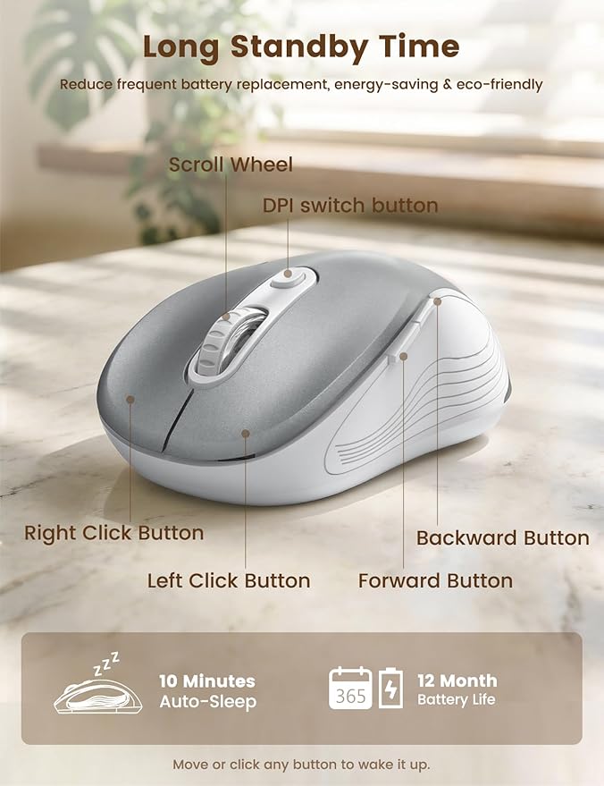 WisFox 2.4G Wireless Mouse for Laptop, Ergonomic Computer Mouse with USB Receiver and Type-C Adapter, 3 Adjustable Levels DPI, 6 Button Cordless Wireless Mice (Silver)