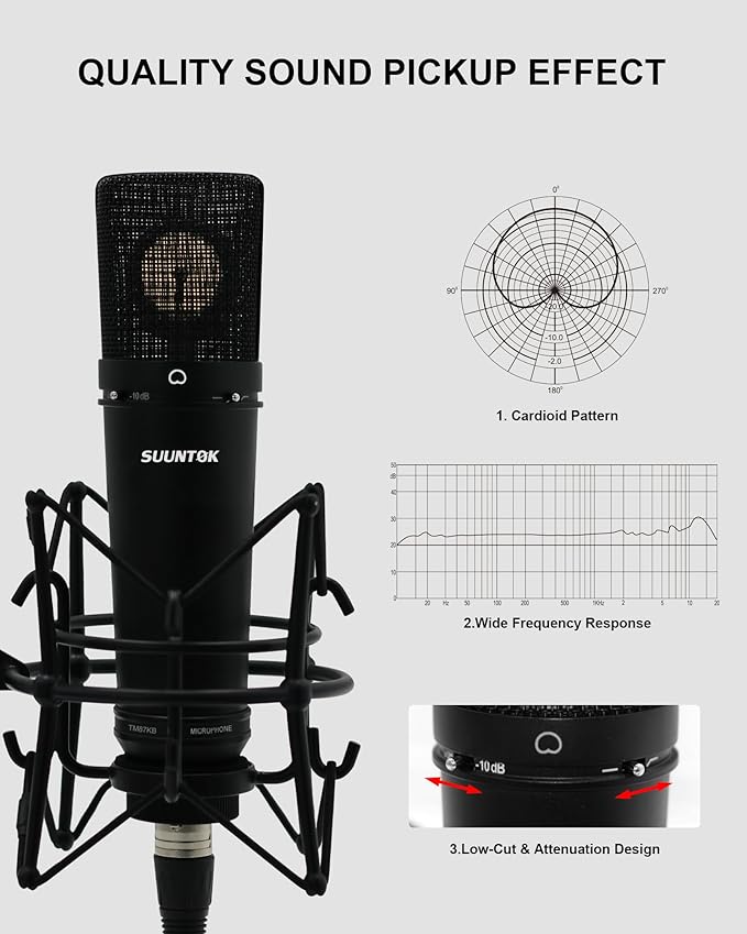 XLR Microphone, Professional Condenser Microphone with 34mm Large Diaphragm, Cardioid Studio Recording Mic Computer Gaming PC TM87KB Mic Kit for Singing, Podcasting, YouTube (Black)