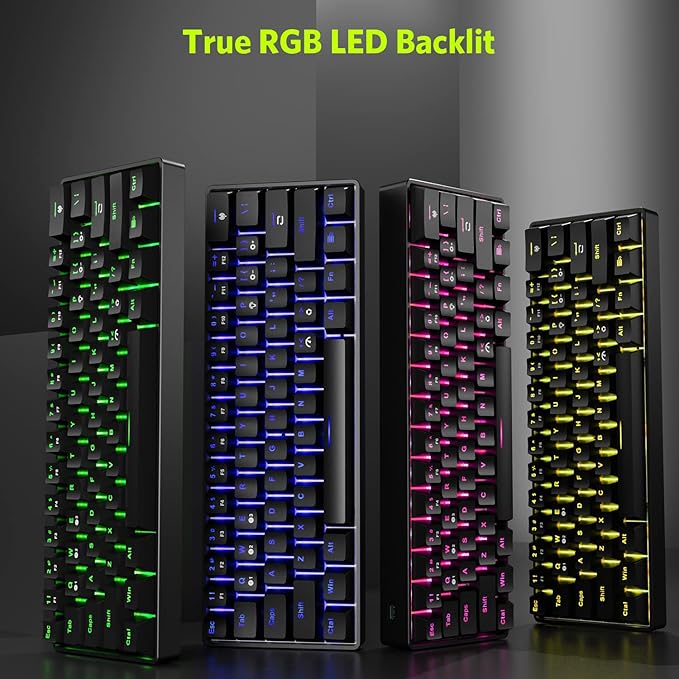 61 Keys RGB Wireless and Wired Mechanical Gaming Keyboard with Blue Switches, Audible Click Sound Rainbow Portable Compact Mini Office Keyboard for Windows PC Gaming, (F-SG61)