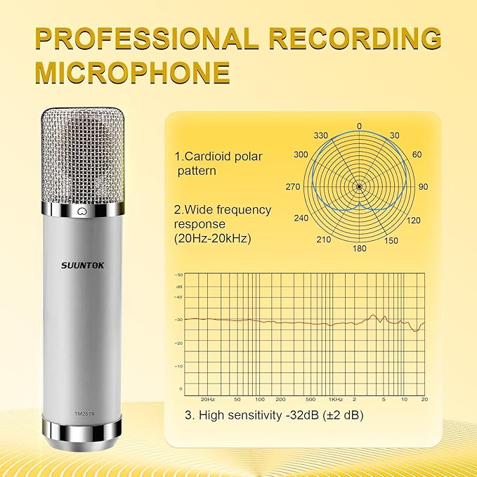 FET Condenser Microphone Professional XLR Studio Microphone with 34mm Large Diaphragm, Cardioid Recording Mic Computer Gaming PC TM251S Mic Kit for Singing, Podcasting, YouTube (Gray)