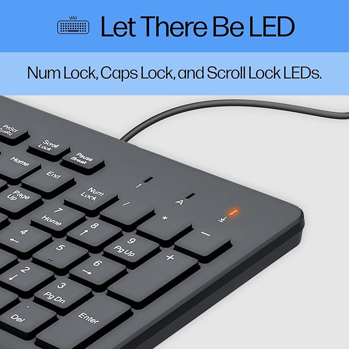 HP 150 Wired Keyboard with Numeric Keypad - Silent-Touch Chiclet Keyboard - Ergonomic, Comfortable - USB Plug-and-Connectivity, LED Indicators (664R5AA, Black) (Pack of 10)