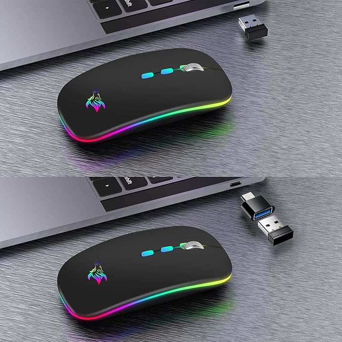 HOTLIFE LED Wireless Mouse, Slim Rechargeable Silent Portable USB Optical 2.4G Wireless Bluetooth Two Mode Computer Mice with USB Receiver and Type C Adapter (Black)