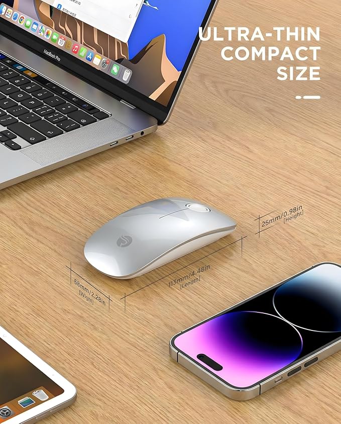RAPIQUE R306 Wireless Mouse, Bluetooth 5.1 & 2.4GHz Dual Mode Silent Mouse, Silver Gloss Top with White Matte Base, Slim Portable Mouse for Laptop, MacBook,Tablet, Chromebook (Silvery)