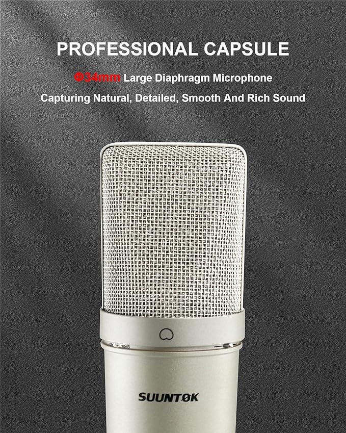 XLR Microphone, Professional Condenser Microphone with 34mm Large Diaphragm, Cardioid Studio Recording Mic Computer Gaming PC TM87KB Mic Kit for Singing, Podcasting, YouTube (Silver)