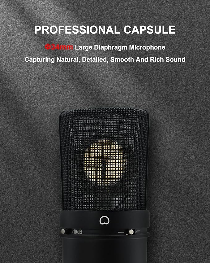XLR Microphone, Professional Condenser Microphone with 34mm Large Diaphragm, Cardioid Studio Recording Mic Computer Gaming PC TM87KB Mic Kit for Singing, Podcasting, YouTube (Black)