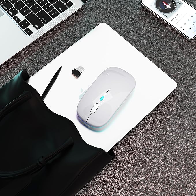 Wireless Bluetooth Mouse Rechargeable Laptop Mice with LED Use Portable(BT5.2 and USB 2.4G) Dual Mode Connection Silent Slim Computer Mouse for Laptop/iPad Tablet/Apple MacBook/PC(Silver)