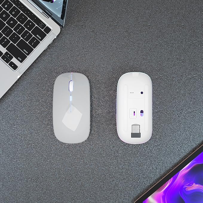 Wireless Bluetooth Mouse Rechargeable Laptop Mice with LED Use Portable(BT5.2 and USB 2.4G) Dual Mode Connection Silent Slim Computer Mouse for Laptop/iPad Tablet/Apple MacBook/PC(Silver)