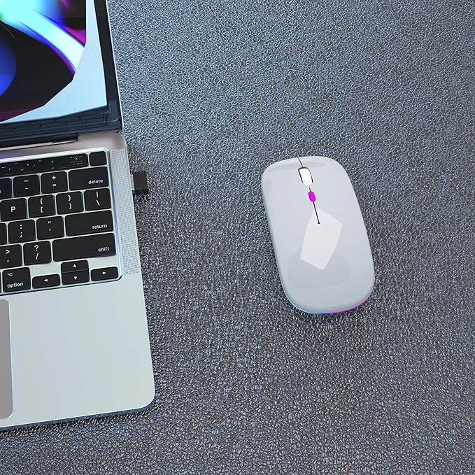 Wireless Bluetooth Mouse Rechargeable Laptop Mice with LED Use Portable(BT5.2 and USB 2.4G) Dual Mode Connection Silent Slim Computer Mouse for Laptop/iPad Tablet/Apple MacBook/PC(Silver)