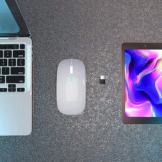 Wireless Bluetooth Mouse Rechargeable Laptop Mice with LED Use Portable(BT5.2 and USB 2.4G) Dual Mode Connection Silent Slim Computer Mouse for Laptop/iPad Tablet/Apple MacBook/PC(Silver)