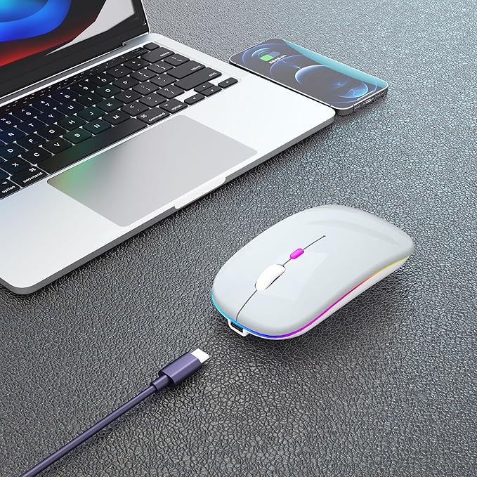 Wireless Bluetooth Mouse Rechargeable Laptop Mice with LED Use Portable(BT5.2 and USB 2.4G) Dual Mode Connection Silent Slim Computer Mouse for Laptop/iPad Tablet/Apple MacBook/PC(Silver)